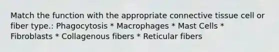 Match the function with the appropriate connective tissue cell or fiber type.: Phagocytosis * Macrophages * Mast Cells * Fibroblasts * Collagenous fibers * Reticular fibers