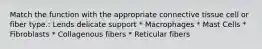 Match the function with the appropriate connective tissue cell or fiber type.: Lends delicate support * Macrophages * Mast Cells * Fibroblasts * Collagenous fibers * Reticular fibers