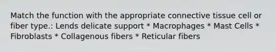 Match the function with the appropriate connective tissue cell or fiber type.: Lends delicate support * Macrophages * Mast Cells * Fibroblasts * Collagenous fibers * Reticular fibers