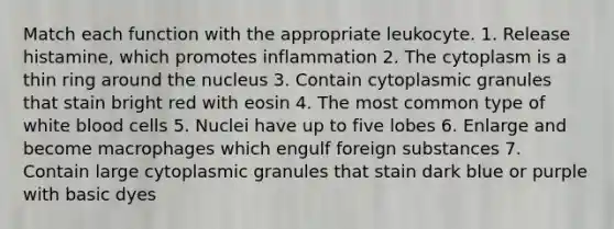 Match each function with the appropriate leukocyte. 1. Release histamine, which promotes inflammation 2. The cytoplasm is a thin ring around the nucleus 3. Contain cytoplasmic granules that stain bright red with eosin 4. The most common type of white blood cells 5. Nuclei have up to five lobes 6. Enlarge and become macrophages which engulf foreign substances 7. Contain large cytoplasmic granules that stain dark blue or purple with basic dyes