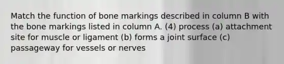 Match the function of bone markings described in column B with the bone markings listed in column A. (4) process (a) attachment site for muscle or ligament (b) forms a joint surface (c) passageway for vessels or nerves