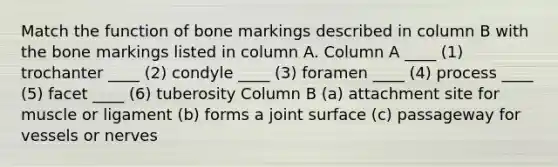 Match the function of bone markings described in column B with the bone markings listed in column A. Column A ____ (1) trochanter ____ (2) condyle ____ (3) foramen ____ (4) process ____ (5) facet ____ (6) tuberosity Column B (a) attachment site for muscle or ligament (b) forms a joint surface (c) passageway for vessels or nerves