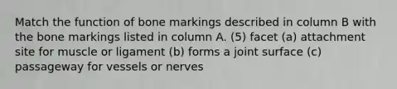 Match the function of bone markings described in column B with the bone markings listed in column A. (5) facet (a) attachment site for muscle or ligament (b) forms a joint surface (c) passageway for vessels or nerves