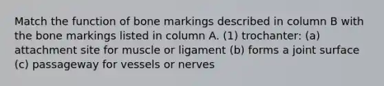 Match the function of bone markings described in column B with the bone markings listed in column A. (1) trochanter: (a) attachment site for muscle or ligament (b) forms a joint surface (c) passageway for vessels or nerves