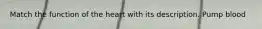 Match the function of the heart with its description. Pump blood