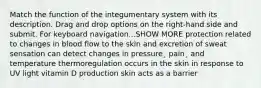 Match the function of the integumentary system with its description. Drag and drop options on the right-hand side and submit. For keyboard navigation...SHOW MORE protection related to changes in blood flow to the skin and excretion of sweat sensation can detect changes in pressure¸ pain¸ and temperature thermoregulation occurs in the skin in response to UV light vitamin D production skin acts as a barrier