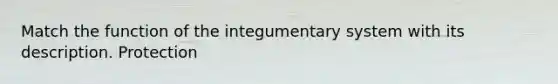 Match the function of the integumentary system with its description. Protection