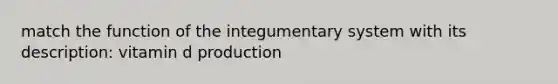 match the function of the integumentary system with its description: vitamin d production