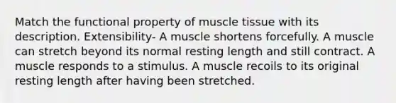 Match the functional property of muscle tissue with its description. Extensibility- A muscle shortens forcefully. A muscle can stretch beyond its normal resting length and still contract. A muscle responds to a stimulus. A muscle recoils to its original resting length after having been stretched.