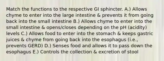 Match the functions to the respective GI sphincter. A.) Allows chyme to enter into the large intestine & prevents it from going back into the small intestine B.) Allows chyme to enter into the small intestine & opens/closes depending on the pH (acidity) levels C.) Allows food to enter into the stomach & keeps gastric juices & chyme from going back into the esophagus (i.e., prevents GERD) D.) Senses food and allows it to pass down the esophagus E.) Controls the collection & excretion of stool