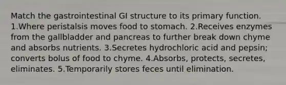 Match the gastrointestinal GI structure to its primary function. 1.Where peristalsis moves food to stomach. 2.Receives enzymes from the gallbladder and pancreas to further break down chyme and absorbs nutrients. 3.Secretes hydrochloric acid and pepsin; converts bolus of food to chyme. 4.Absorbs, protects, secretes, eliminates. 5.Temporarily stores feces until elimination.