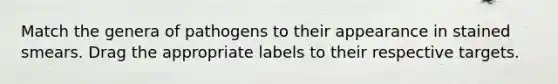 Match the genera of pathogens to their appearance in stained smears. Drag the appropriate labels to their respective targets.