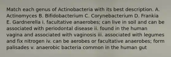 Match each genus of Actinobacteria with its best description. A. Actinomyces B. Bifidobacterium C. Corynebacterium D. Frankia E. Gardnerella i. facultative anaerobes; can live in soil and can be associated with periodontal disease ii. found in the human vagina and associated with vaginosis iii. associated with legumes and fix nitrogen iv. can be aerobes or facultative anaerobes; form palisades v. anaerobic bacteria common in the human gut