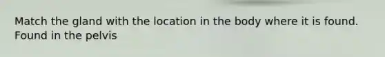 Match the gland with the location in the body where it is found. Found in the pelvis