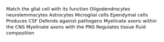 Match the glial cell with its function Oligodendrocytes neurolemmocytes Astrocytes Microglial cells Ependymal cells Produces CSF Defends against pathogens Myelinate axons within the CNS Myelinate axons with the PNS Regulates tissue fluid composition