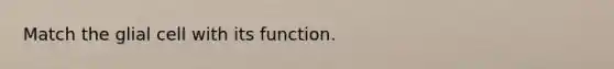 Match the glial cell with its function.