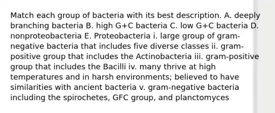 Match each group of bacteria with its best description. A. deeply branching bacteria B. high G+C bacteria C. low G+C bacteria D. nonproteobacteria E. Proteobacteria i. large group of gram-negative bacteria that includes five diverse classes ii. gram-positive group that includes the Actinobacteria iii. gram-positive group that includes the Bacilli iv. many thrive at high temperatures and in harsh environments; believed to have similarities with ancient bacteria v. gram-negative bacteria including the spirochetes, GFC group, and planctomyces