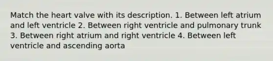 Match the heart valve with its description. 1. Between left atrium and left ventricle 2. Between right ventricle and pulmonary trunk 3. Between right atrium and right ventricle 4. Between left ventricle and ascending aorta