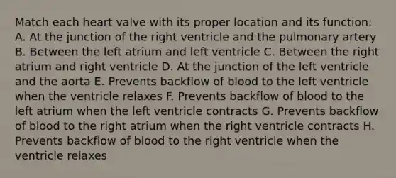 Match each heart valve with its proper location and its function: A. At the junction of the right ventricle and the pulmonary artery B. Between the left atrium and left ventricle C. Between the right atrium and right ventricle D. At the junction of the left ventricle and the aorta E. Prevents backflow of blood to the left ventricle when the ventricle relaxes F. Prevents backflow of blood to the left atrium when the left ventricle contracts G. Prevents backflow of blood to the right atrium when the right ventricle contracts H. Prevents backflow of blood to the right ventricle when the ventricle relaxes