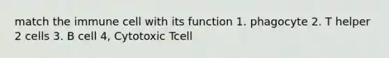 match the immune cell with its function 1. phagocyte 2. T helper 2 cells 3. B cell 4, Cytotoxic Tcell