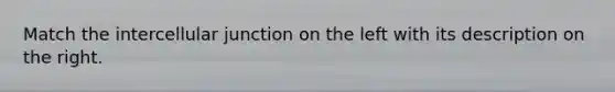 Match the intercellular junction on the left with its description on the right.