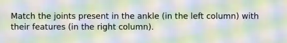 Match the joints present in the ankle (in the left column) with their features (in the right column).