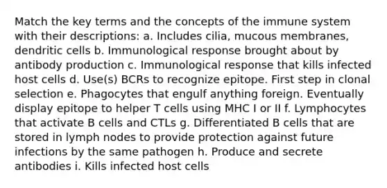 Match the key terms and the concepts of the immune system with their descriptions: a. Includes cilia, mucous membranes, dendritic cells b. Immunological response brought about by antibody production c. Immunological response that kills infected host cells d. Use(s) BCRs to recognize epitope. First step in clonal selection e. Phagocytes that engulf anything foreign. Eventually display epitope to helper T cells using MHC I or II f. Lymphocytes that activate B cells and CTLs g. Differentiated B cells that are stored in lymph nodes to provide protection against future infections by the same pathogen h. Produce and secrete antibodies i. Kills infected host cells