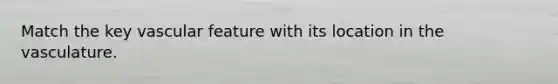 Match the key vascular feature with its location in the vasculature.