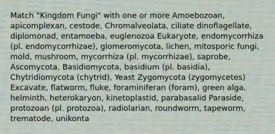 Match "Kingdom Fungi" with one or more Amoebozoan, apicomplexan, cestode, Chromalveolata, ciliate dinoflagellate, diplomonad, entamoeba, euglenozoa Eukaryote, endomycorrhiza (pl. endomycorrhizae), glomeromycota, lichen, mitosporic fungi, mold, mushroom, mycorrhiza (pl. mycorrhizae), saprobe, Ascomycota, Basidiomycota, basidium (pl. basidia), Chytridiomycota (chytrid), Yeast Zygomycota (zygomycetes) Excavate, flatworm, fluke, foraminiferan (foram), green alga, helminth, heterokaryon, kinetoplastid, parabasalid Paraside, protozoan (pl. protozoa), radiolarian, roundworm, tapeworm, trematode, unikonta