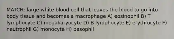 MATCH: large white blood cell that leaves the blood to go into body tissue and becomes a macrophage A) eosinophil B) T lymphocyte C) megakaryocyte D) B lymphocyte E) erythrocyte F) neutrophil G) monocyte H) basophil