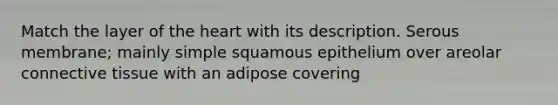 Match the layer of the heart with its description. Serous membrane; mainly simple squamous epithelium over areolar connective tissue with an adipose covering