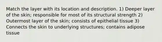 Match the layer with its location and description. 1) Deeper layer of the skin; responsible for most of its structural strength 2) Outermost layer of the skin; consists of <a href='https://www.questionai.com/knowledge/k7dms5lrVY-epithelial-tissue' class='anchor-knowledge'>epithelial tissue</a> 3) Connects the skin to underlying structures; contains adipose tissue