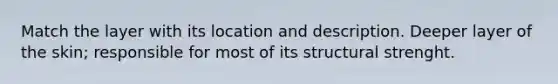 Match the layer with its location and description. Deeper layer of the skin; responsible for most of its structural strenght.