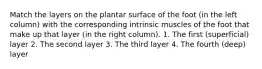 Match the layers on the plantar surface of the foot (in the left column) with the corresponding intrinsic muscles of the foot that make up that layer (in the right column). 1. The first (superficial) layer 2. The second layer 3. The third layer 4. The fourth (deep) layer