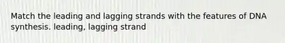 Match the leading and lagging strands with the features of DNA synthesis. leading, lagging strand