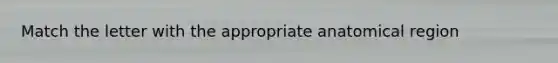Match the letter with the appropriate anatomical region