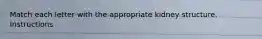 Match each letter with the appropriate kidney structure. Instructions