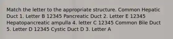 Match the letter to the appropriate structure. Common Hepatic Duct 1. Letter B 12345 Pancreatic Duct 2. Letter E 12345 Hepatopancreatic ampulla 4. letter C 12345 Common Bile Duct 5. Letter D 12345 Cystic Duct D 3. Letter A