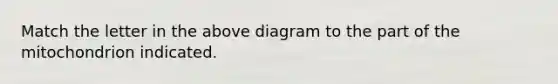 Match the letter in the above diagram to the part of the mitochondrion indicated.