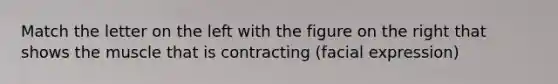 Match the letter on the left with the figure on the right that shows the muscle that is contracting (facial expression)