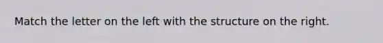 Match the letter on the left with the structure on the right.