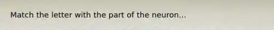 Match the letter with the part of the neuron...