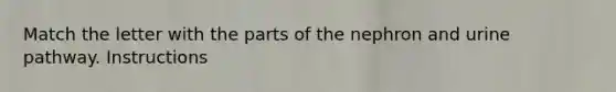 Match the letter with the parts of the nephron and urine pathway. Instructions