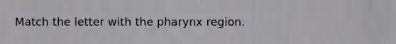 Match the letter with the pharynx region.