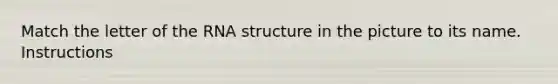 Match the letter of the RNA structure in the picture to its name. Instructions