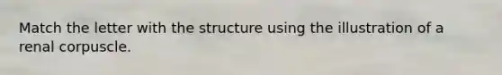 Match the letter with the structure using the illustration of a renal corpuscle.