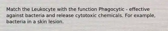 Match the Leukocyte with the function Phagocytic - effective against bacteria and release cytotoxic chemicals. For example, bacteria in a skin lesion.