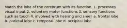 Match the lobe of the cerebrum with its function. 1. processes visual input 2. voluntary motor functions 3. sensory functions such as touch 4. involved with hearing and smell a. frontal lobe b. parietal lobe c. temporal lobe d. occipital lobe