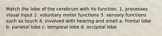 Match the lobe of the cerebrum with its function. 1. processes visual input 2. voluntary motor functions 3. sensory functions such as touch 4. involved with hearing and smell a. frontal lobe b. parietal lobe c. temporal lobe d. occipital lobe