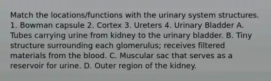 Match the locations/functions with the urinary system structures. 1. Bowman capsule 2. Cortex 3. Ureters 4. Urinary Bladder A. Tubes carrying urine from kidney to the urinary bladder. B. Tiny structure surrounding each glomerulus; receives filtered materials from the blood. C. Muscular sac that serves as a reservoir for urine. D. Outer region of the kidney.